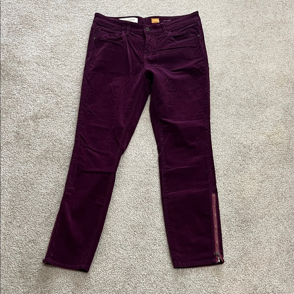 Pilcro and the Letterpress Denim - Pilcro Purple Corduroy Jeans